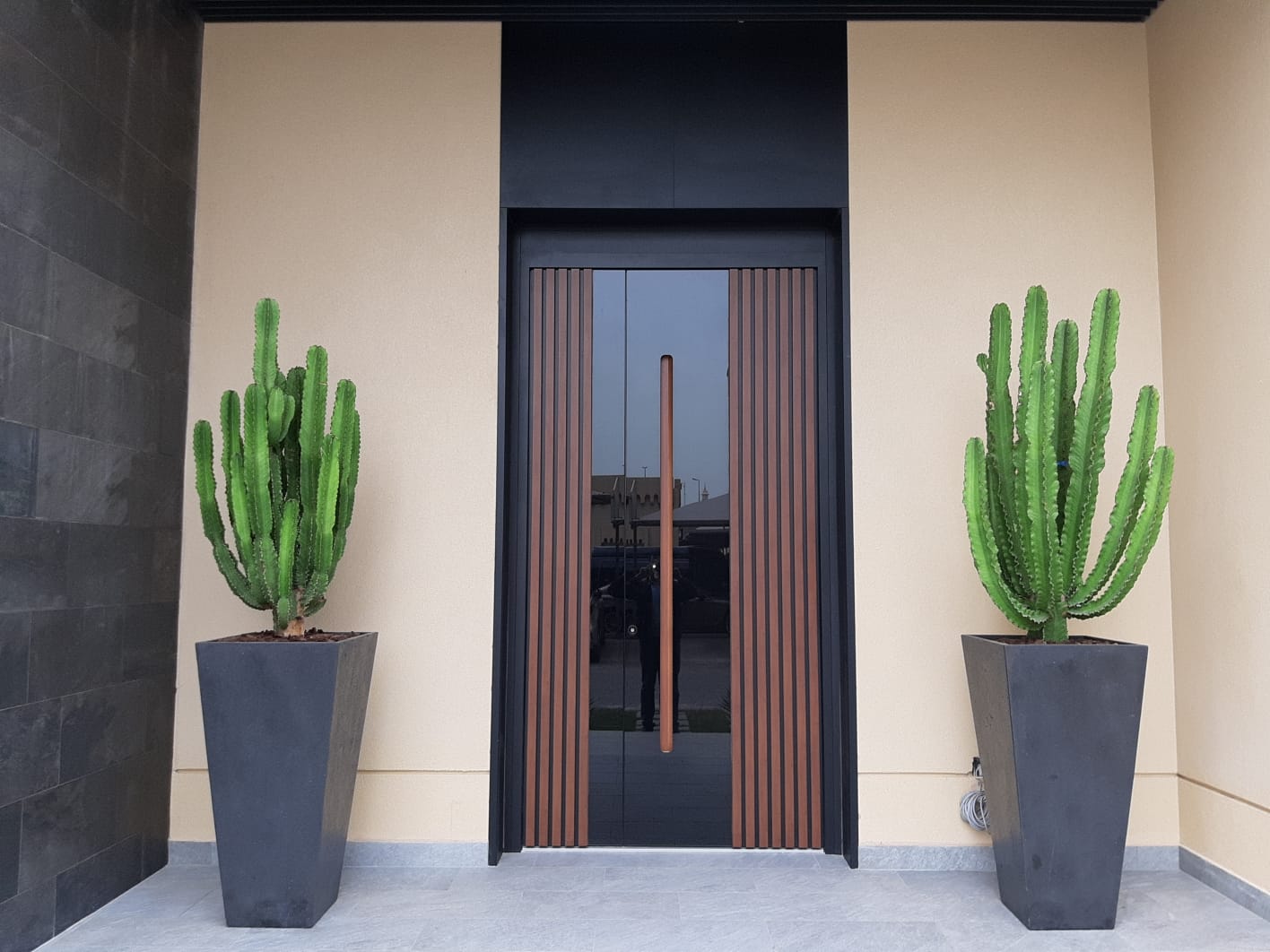 Porte d'entrée en aluminium à deux vantaux avec vitrage ESG noir, finition effet bois et poignée encastrée